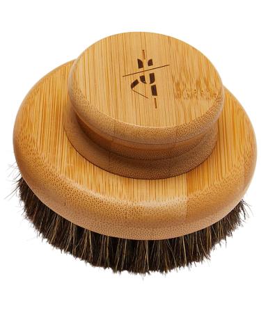 Kate McLeod The Dry Brush
