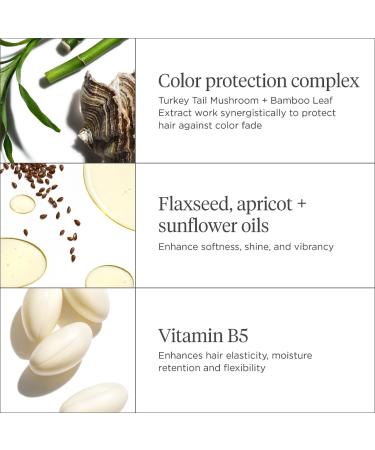 Shop Briogeo Color Me Brilliant Mushroom + Bamboo Color Protect Shampoo - 8 oz / 236 ml Online - Best Price & International Shipping - Buy Online on GoSupps.com