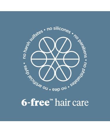 Shop Briogeo Scalp Revival Charcoal + Tea Tree Buildup Detox Spray - 4 oz / 120 ml Online - Best Price & International Shipping - Buy Online on GoSupps.com