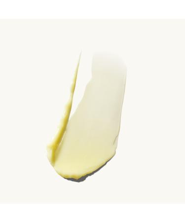 Shop MATTER OF FACT WRINKLE + TEXTURE CONCENTRATE with 0.2% Encapsulated Retinol Vitamin C & Azelaic Acid - 1 oz / 30 ml Online - Best Price & International Shipping - Buy Online on GoSupps.com