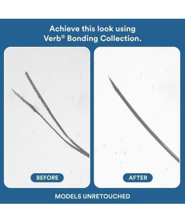 Shop Verb Bonding Shampoo for Split Ends and Broken Bonds - 12 oz / 355 ml Online - Best Price & International Shipping - Buy Online on GoSupps.com