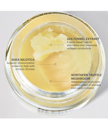 Shop OUI the People All In All Melting Body Balm with Plant-Based Retinol - 3.4 oz / 100 ml Online - Best Price & International Shipping - Buy Online on GoSupps.com