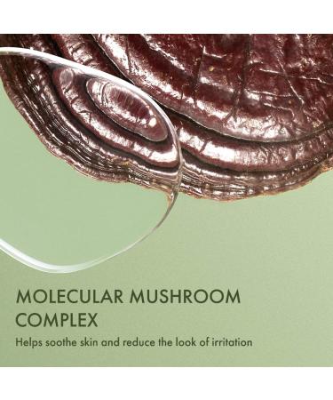 Shop Origins Dr. Andrew Weil for Origins Mega-Mushroom Relief & Resilience Fortifying Emulsion - 3.4 oz / 100 ml Online - Best Price & International Shipping - Buy Online on GoSupps.com