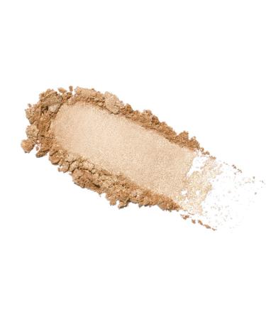 Shop Anastasia Beverly Hills Glow Seeker Champagne Gold Powder Highlighter - 0.39 oz Sun Idol - champagne gold Online - Best Price & International Shipping - Buy Online on GoSupps.com