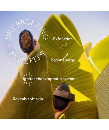 Shop HigherDOSE Supercharge Copper Body Brush for Exfoliating & Circulation Online - Best Price & International Shipping - Buy Online on GoSupps.com