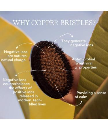 Shop HigherDOSE Supercharge Copper Body Brush for Exfoliating & Circulation Online - Best Price & International Shipping - Buy Online on GoSupps.com