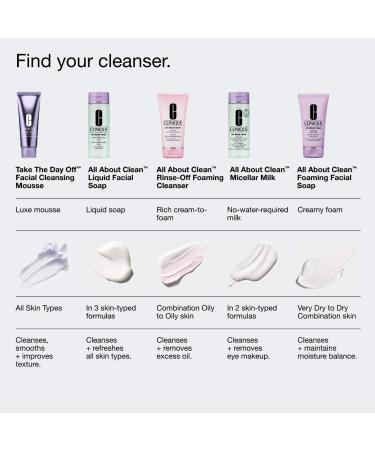 Shop CLINIQUE Take The Day Off Facial Cleansing Mousse - 4.2 oz / 125 ml Online - Best Price & International Shipping - Buy Online on GoSupps.com