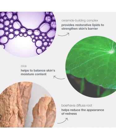 Shop Dermalogica Stabilizing Repair Cream Moisturizer with Squalane and Cica - 1.7 oz / 50 ml Online - Best Price & International Shipping - Buy Online on GoSupps.com