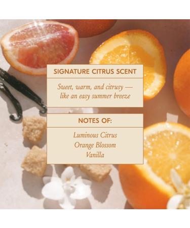 Shop dae Mini Hair Tune Up Tool Box Set Online - Best Price & International Shipping - Buy Online on GoSupps.com