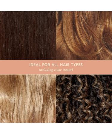 Shop dae Mini Hair Tune Up Tool Box Set Online - Best Price & International Shipping - Buy Online on GoSupps.com