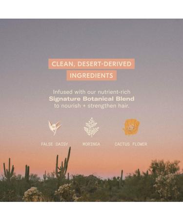 Shop dae Mini Hair Tune Up Tool Box Set Online - Best Price & International Shipping - Buy Online on GoSupps.com