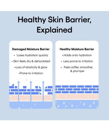 Shop LANEIGE Water Bank Blue Hyaluronic Cream Duo Set Online - Best Price & International Shipping - Buy Online on GoSupps.com