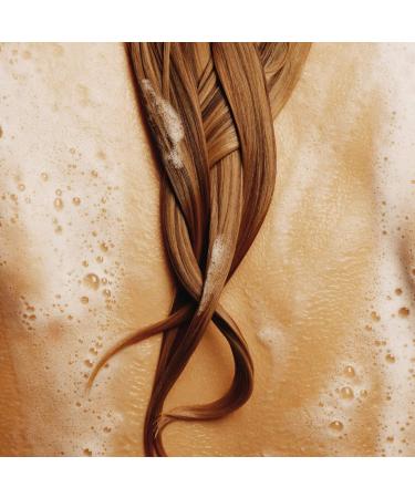 Shop Augustinus Bader The Rich Shampoo - 6.7 fl oz / 200 ml Online - Best Price & International Shipping - Buy Online on GoSupps.com