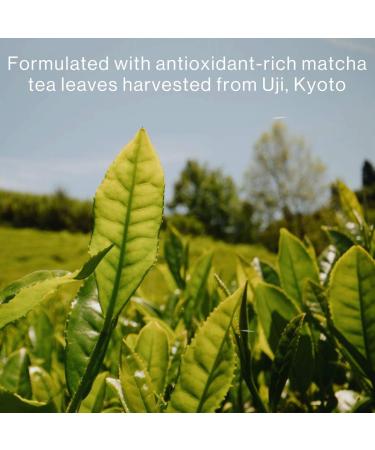 Shop DAMDAM Matcha Boost Hydrating & Restorative Eye Serum - 0.68 oz Online - Best Price & International Shipping - Buy Online on GoSupps.com
