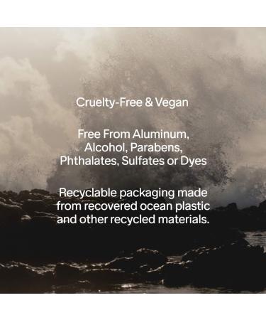Shop Salt & Stone Santal & Vetiver Extra-Strength Aluminum-Free Deodorant - 2.6 oz Online - Best Price & International Shipping - Buy Online on GoSupps.com