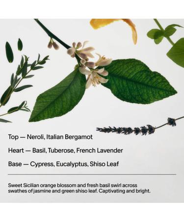 Shop Salt & Stone Neroli & Basil Extra-Strength Aluminum-Free Deodorant - 2.6 oz Online - Best Price & International Shipping - Buy Online on GoSupps.com