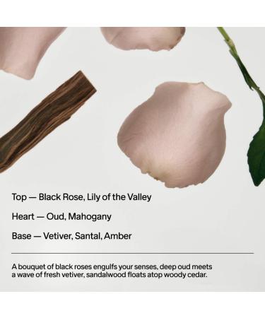 Shop Salt & Stone Black Rose & Oud Body Fragrance Mist - 3.4 oz / 100 mL Online - Best Price & International Shipping - Buy Online on GoSupps.com