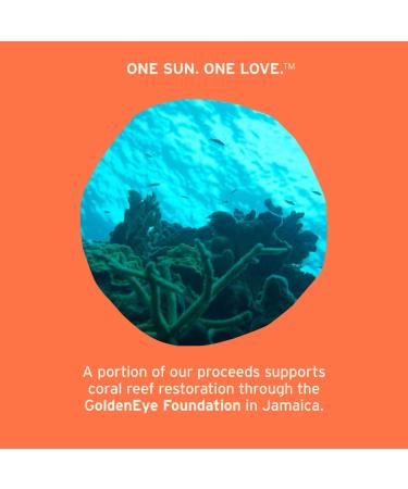 Shop Soleil Toujours Brightening Eye Cream Mineral SPF 30 with Niacinamide & Vitamin C - 0.5 oz Online - Best Price & International Shipping - Buy Online on GoSupps.com