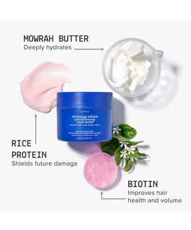 Shop AAVRANI Deep Conditioning Hair Mask for Dry Damaged Hair - 8.4 oz Online - Best Price & International Shipping - Buy Online on GoSupps.com