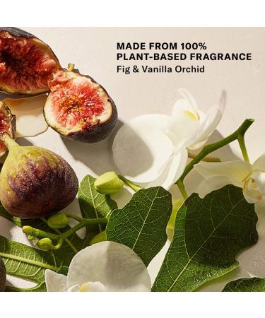 Shop Josie Maran Mini Bohemian Fig - Whipped Argan Oil Refillable Firming Body Butter - 2 oz Online - Best Price & International Shipping - Buy Online on GoSupps.com