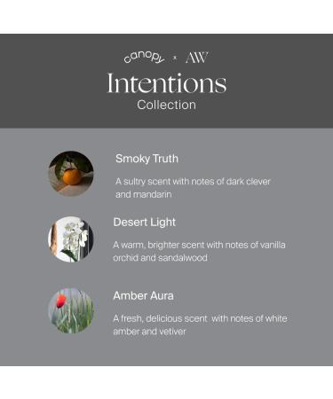 Shop CANOPY Intentions Aroma Kit by Alli Webb with Essential Oils Online - Best Price & International Shipping - Buy Online on GoSupps.com