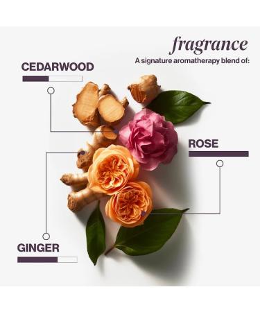 Shop Pureology Color Fanatic Leave-In Conditioner Value Set Online - Best Price & International Shipping - Buy Online on GoSupps.com