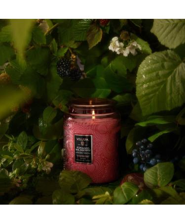 Shop VOLUSPA Japonica Foraged Wildberry Large Jar Candle - 18 oz / 510 g Online - Best Price & International Shipping - Buy Online on GoSupps.com