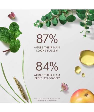 Shop Moroccanoil Revitalizing Scalp Tonic Treatment for Thinning Hair - 3.4 oz/ 100 ml Online - Best Price & International Shipping - Buy Online on GoSupps.com