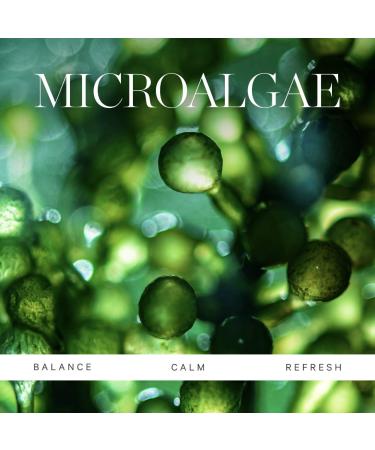 Shop KORA Organics Active Algae Calming Cleansing Balm - 3.4 oz / 100 ml Online - Best Price & International Shipping - Buy Online on GoSupps.com