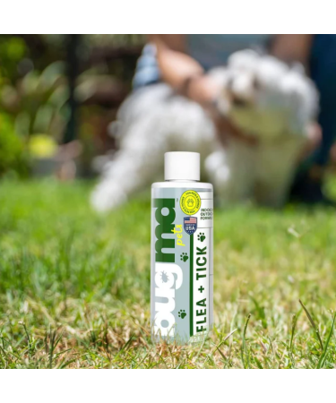 BugMD Flea and Tick Concentrate (4 oz) | Essential Oil-Based Formula for Dogs, Cats, and Furred Animals | Controls Fleas, Ticks, Mites | Spray for Pet Beds and Kennels | Pack of 1 - Buy Online on GoSupps.com