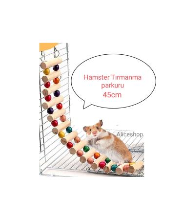 Alice Hamster climbing track