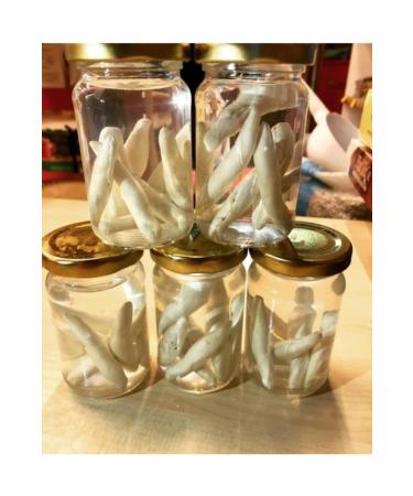 organikcity44 Malatya Natural Acanthus Gum 25 Pieces