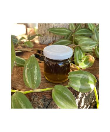 Morning Glory Oil 10 ml