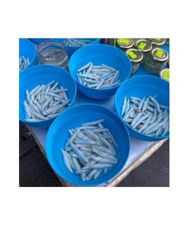 Natural Organic Darende Natural Yayla Acanthus Gum 8 Pieces - Buy Online on GoSupps.com