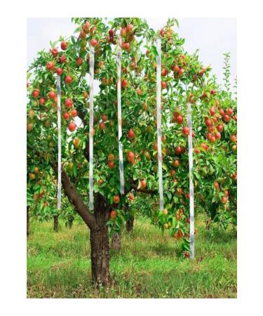 Repel Holographic Bird Control System Reflector Strip - 120 Mt - Buy Online on GoSupps.com