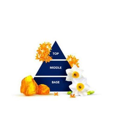 Felce Azzura Narciso-Narcissus-Shower Gel 650 ml - Buy Online on GoSupps.com