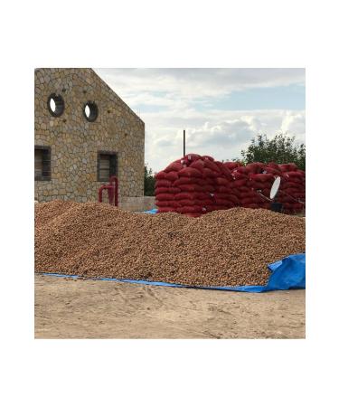 Gazisofraantep Walnut Thin Shelled (Mara 18) 5 kg - Buy Online on GoSupps.com