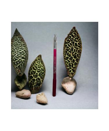 Collistar Professional Lip Pencil 17 Dune Fuchsia Water-Resistant - Buy Online on GoSupps.com