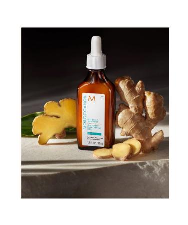 Moroccanoil OilyScalp Treatment: Argan Purifying Serum 45ml ECBeauty.X74