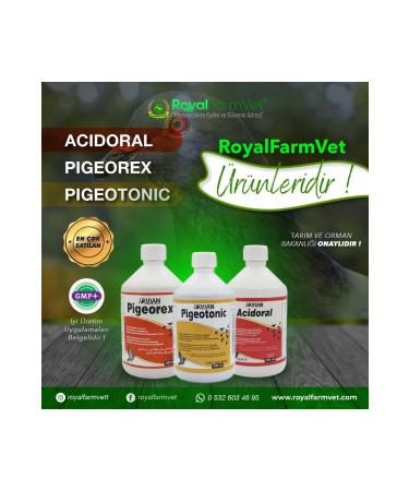 Royal la Royal la Pigeons and Cage Birds 500 ml Magnificent Triple Set (PIGEOTONIC PIGEOREX ACIDORAL) - Buy Online on GoSupps.com