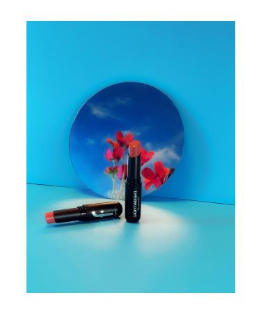 Flormar Ultra Light Matte Lipstick (Vivid Burgundy) - Lightweight Lip Powder - 018 Don't Forget - 8682536063753 - Buy Online on GoSupps.com