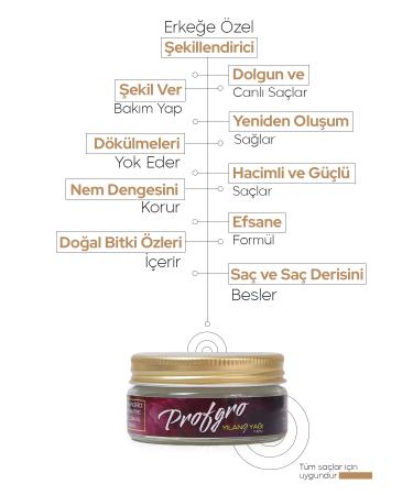 PROFGRO Men's Styling Hair & Beard Care Therapy / Both Care and Shape - Buy Online on GoSupps.com