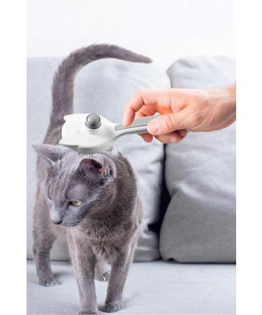 MBV MEDICINE Mbv Guloxmin Palatable 30 Tablets Cat and Dog Automatic Hair Collection Comb Set of 2 - Buy Online on GoSupps.com