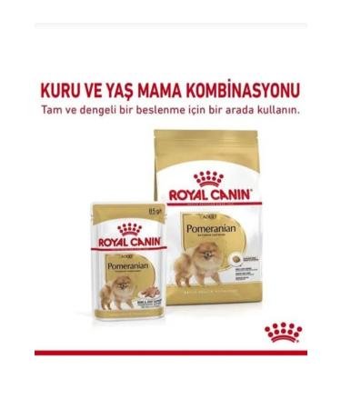 Royal Canin Pomeranian Adult Dog Food 1.5kg Wet Food 85g - Buy Online on GoSupps.com