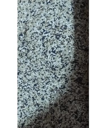 Etakarina Canary Food