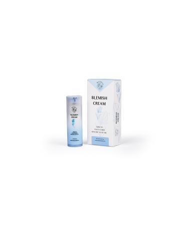 Evvaglow BENDIS Blemish Cream - Anti-Blemish Brightening Cream - Buy Online on GoSupps.com