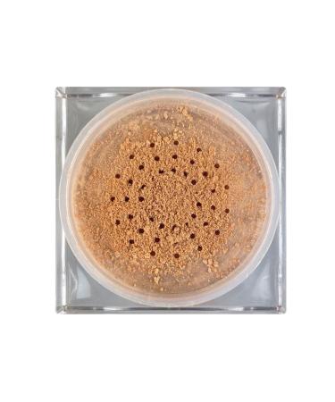 Technic Summer Vibes Illuminating Bronze Loose Powder - Buy Online on GoSupps.com