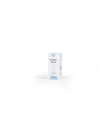 Evvaglow BENDIS Blemish Cream - Anti-Blemish Brightening Cream