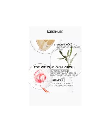 Kerastase Genesis Serum Anti-Chute Fortifiant Ginger Root Hair Loss Prevention Serum 90 ml - Buy Online on GoSupps.com