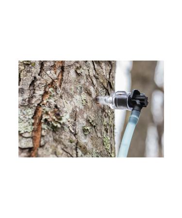 Prestige Maple Prestige Maple Maple Syrup 250 ml (330 gr) Highest Quality - Amber Canada Grade A Maple Syrup - Buy Online on GoSupps.com